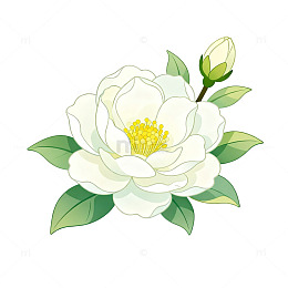手绘风白花绿叶植物插画设计素材