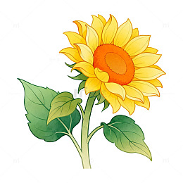 卡通风格向日葵植物插画设计素材