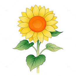卡通风格向日葵花卉插画设计素材