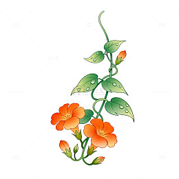 水彩风藤蔓花朵手绘插画设计素材