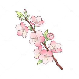手绘风樱花枝条插画设计素材