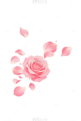 手绘风粉色玫瑰花瓣插画素材