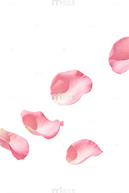 水彩风玫瑰花瓣飘落设计素材