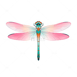 水彩风蜻蜓手绘插画设计素材