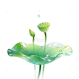 水墨风荷叶莲蓬插画设计素材