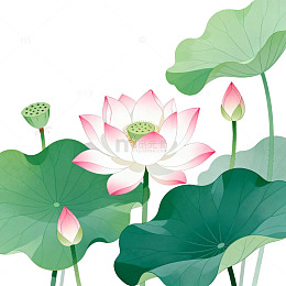 插画风荷花池塘手绘莲花设计素材