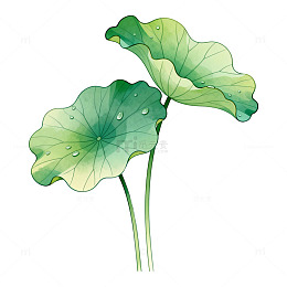 手绘风荷叶水珠插画设计素材