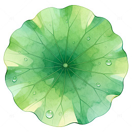 水彩风荷叶露珠自然插画设计素材