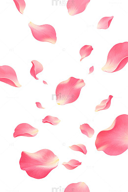 唯美风飘落玫瑰花瓣矢量素材