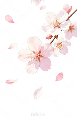插画风樱花绽放唯美花瓣素材