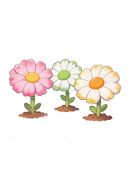卡通风格三色雏菊插画设计素材