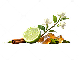 清新风柠檬花枝静物素材