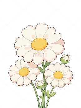手绘风雏菊花朵插画设计素材