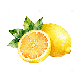 水彩风柠檬切片手绘水果设计素材