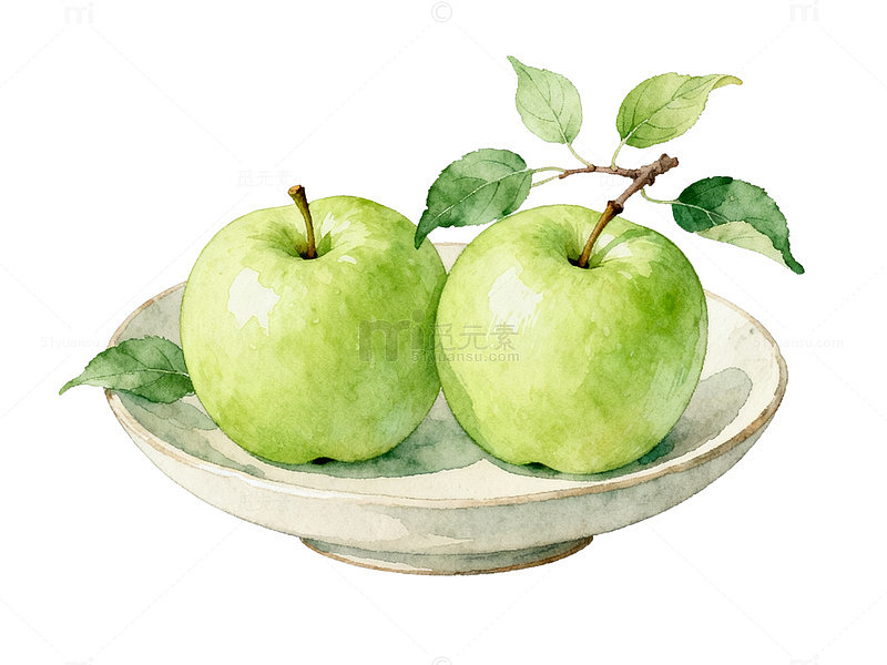 水彩风青苹果静物手绘插画设计素材