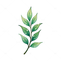 水彩风植物枝叶手绘设计素材