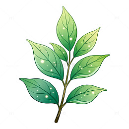卡通风格绿叶植物插画设计素材