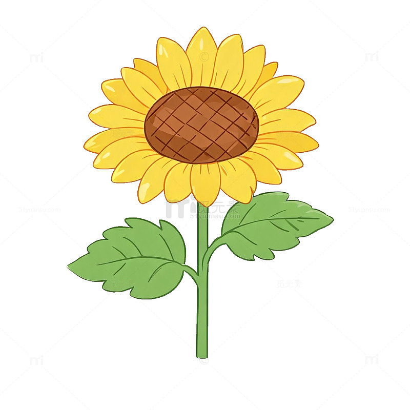 卡通风格向日葵植物插画设计素材