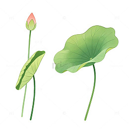 手绘风荷花花苞与荷叶设计素材