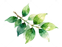 水彩风绿叶枝条手绘植物设计素材