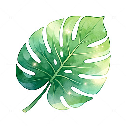 水彩风热带植物龟背竹叶设计素材