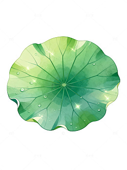 插画风荷叶水珠自然元素设计素材