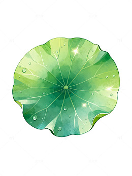 插画风荷叶水珠透明背景设计素材
