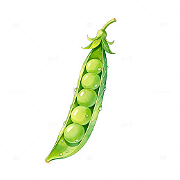 手绘风新鲜豌豆荚矢量设计素材