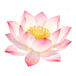 水彩风莲花花卉手绘设计素材