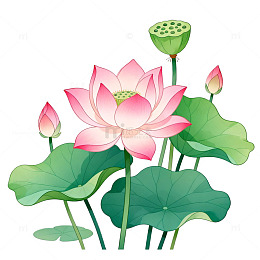 手绘风荷花盛开绿叶衬托设计素材