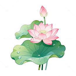 手绘风荷花盛开绿叶插画素材