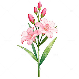 水彩风粉色花朵植物插画设计素材