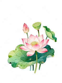 水彩风荷花池塘手绘莲花设计素材