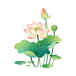 国风手绘荷花莲叶插画设计素材