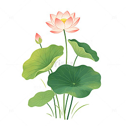 国风手绘荷花荷叶插画场景设计png素材