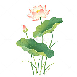 国风水墨风荷花荷叶插画设计素材