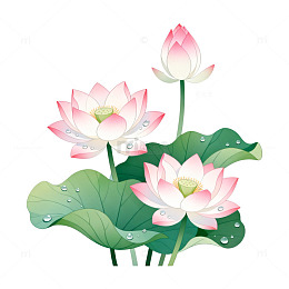 手绘风荷花池塘插画设计素材