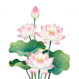 国风水墨莲花手绘植物插画素材