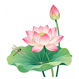 手绘风荷花蜻蜓绿叶设计素材