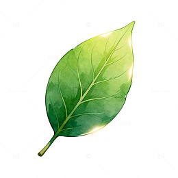 水彩风绿叶植物手绘设计素材