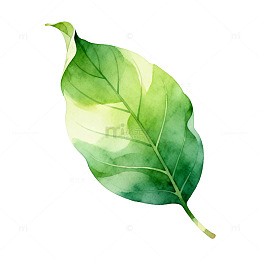 水彩风绿叶自然手绘植物设计素材