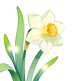 手绘风水仙花植物插画设计素材