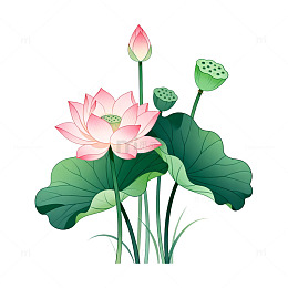 手绘风荷花盛开植物插画素材
