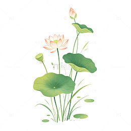 手绘风荷花池塘植物插画设计素材