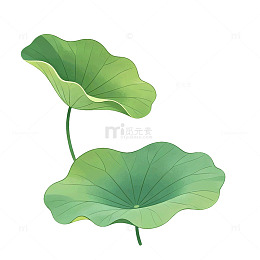 插画风荷叶植物手绘设计素材
