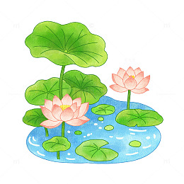 凉凉夏日荷花