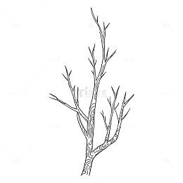 素描风枯树枝线条手绘设计素材