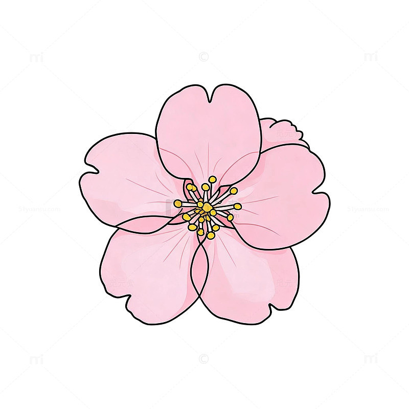 手绘风樱花花朵插画设计素材