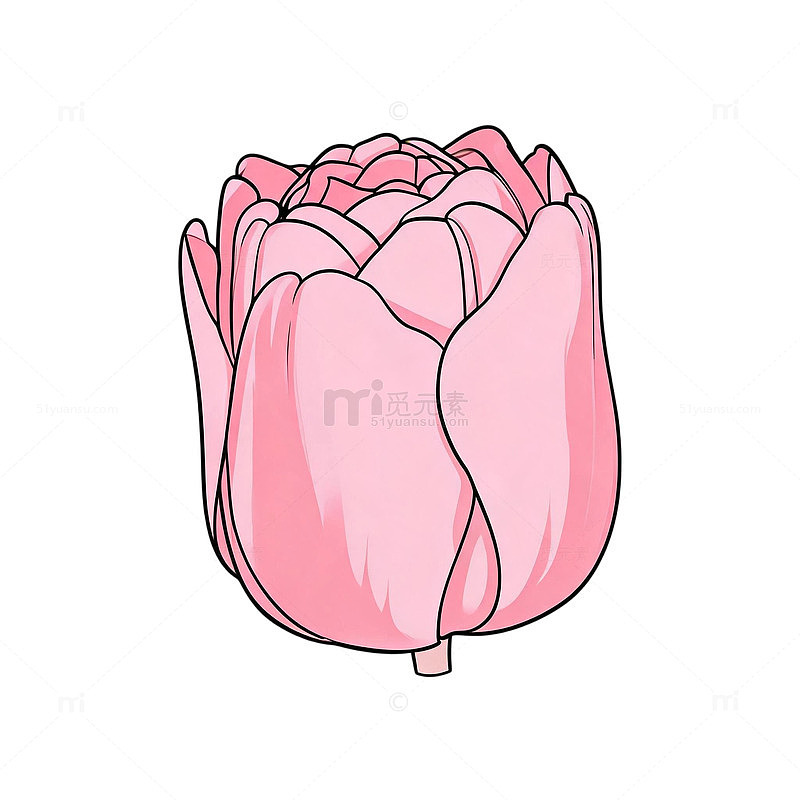 手绘风粉色玫瑰花矢量素材