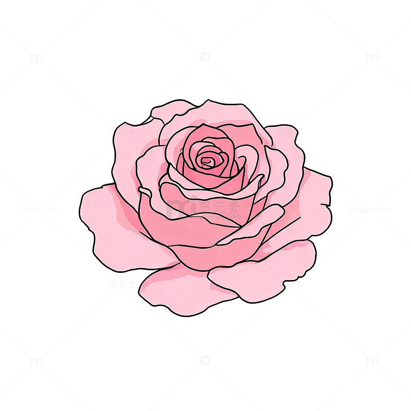 手绘风粉色玫瑰花卉插画设计素材